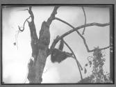 [Untitled]
