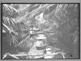 [Untitled]