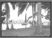 [Untitled]