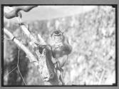 [Untitled]