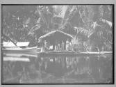[Untitled]