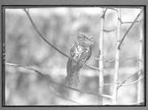 [Untitled]