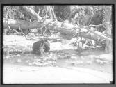 [Untitled]