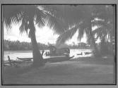 [Untitled]