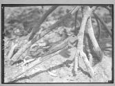[Untitled]