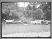 [Untitled]