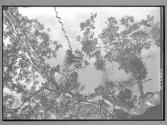 [Untitled]