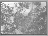 [Untitled]