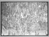 [Untitled]