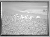 [Untitled]