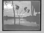 [Untitled]