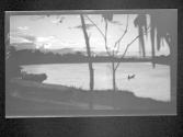 [Untitled]