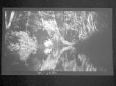 [Untitled]