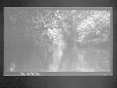 [Untitled]