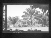 [Untitled]