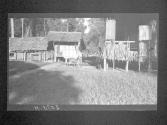 [Untitled]