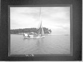 [Untitled]