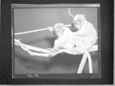 [Untitled]
