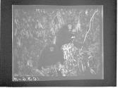 [Untitled]
