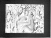 [Untitled]