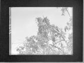 [Untitled]