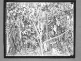 [Untitled]