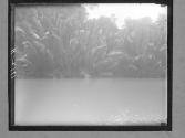 [Untitled]