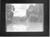 [Untitled]