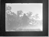 [Untitled]