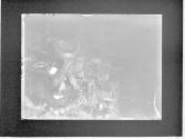 [Untitled]