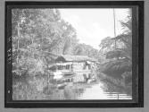 [Untitled]