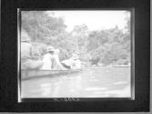 [Untitled]
