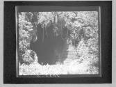 [Untitled]
