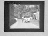 [Untitled]