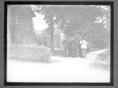 [Mckinley Assasination]