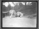 [Timberwolves]