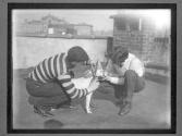 [Dog Training]
