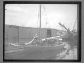 [Alfred's 'Dynamite' Sloop]