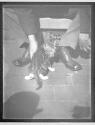 [Cats and Kittens]