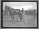 [Horse Racing]