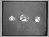 Pasha of Egypt, Koh-i-noor (1st cutting), Empress Eugenie