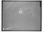[Elaine Golding, Swimmer]
