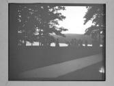 Wellesley College/ The Wood Nymph Dance