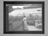 C.L.F. And L.M.F., Garden Panorama
