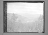 VHS From Delafield Path Warm Sring Mt. Sunday October 21 1906