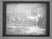 Tewksbury - Mass. State Hospital Supts Horses