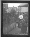 The Garden And/ C.L.F. In