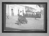 [Pig And Man In Street Scene]