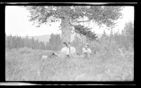 Josephine Dickman, Eleanor Eastwood and man under tree, Wyoming Trip
