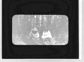 Couple under the trees, Yosemite Trip